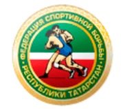 Логотип организации РОО «Федерация спортивной борьбы Республики Татарстан»